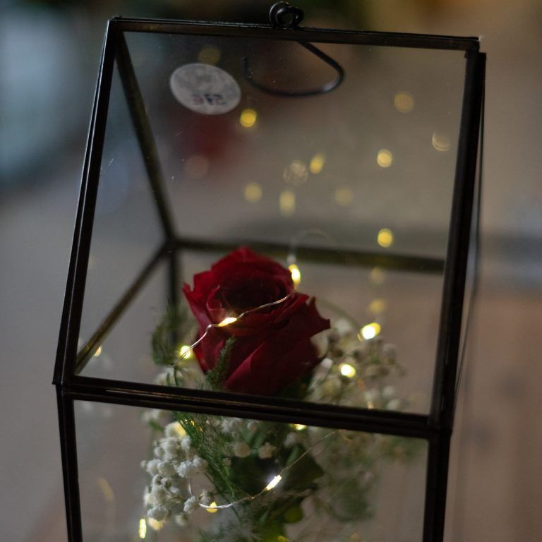 EternityDesigns-03486